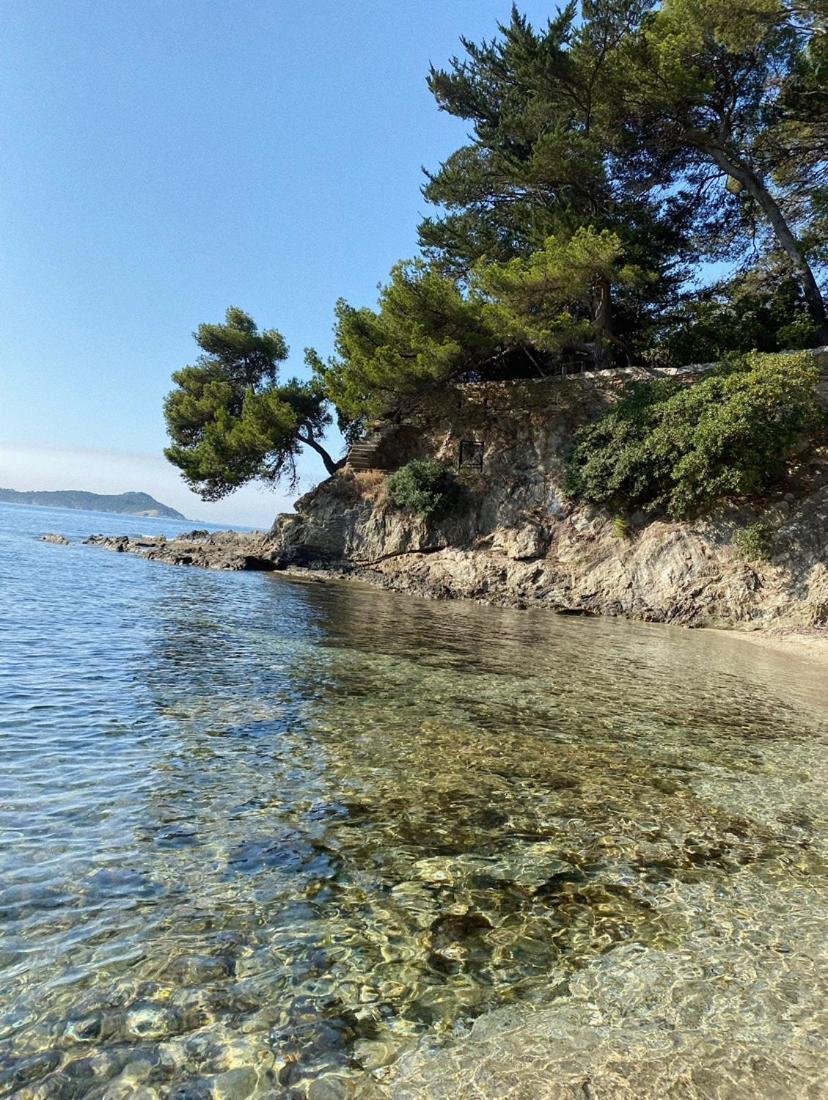 Haut De Villa Entre Mer Et Campagne Hyeres Bagian luar foto